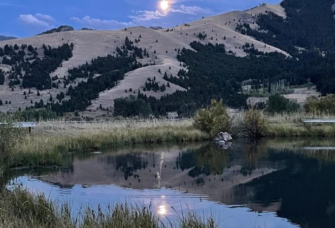 Full Moon Reflecting on Pond