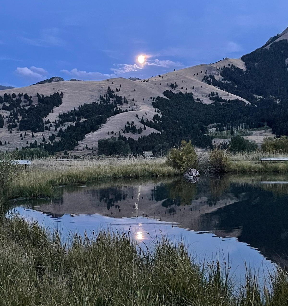 Full Moon Reflecting on Pond