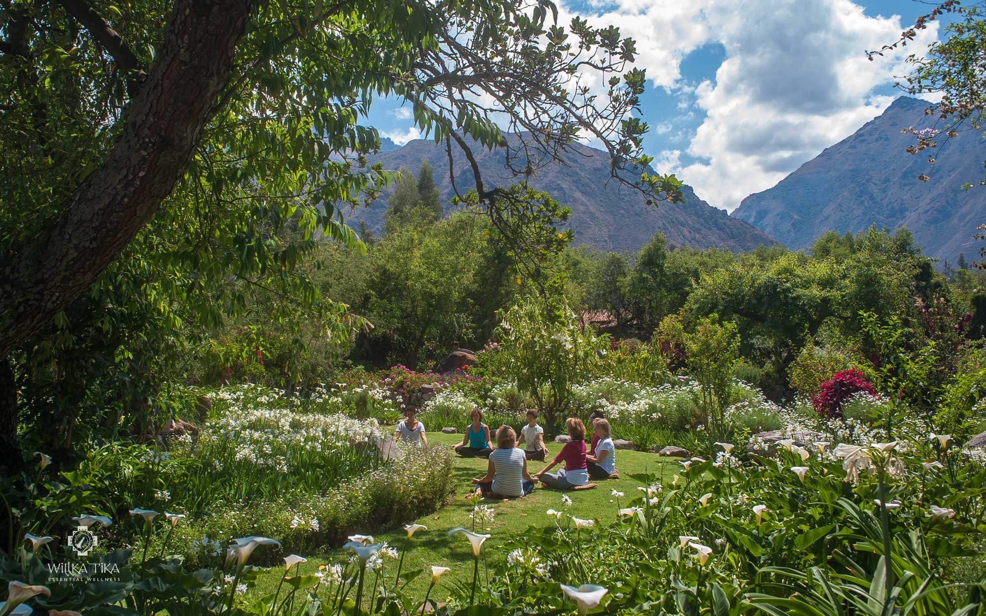 Crown-Chakra-Garden-group-w